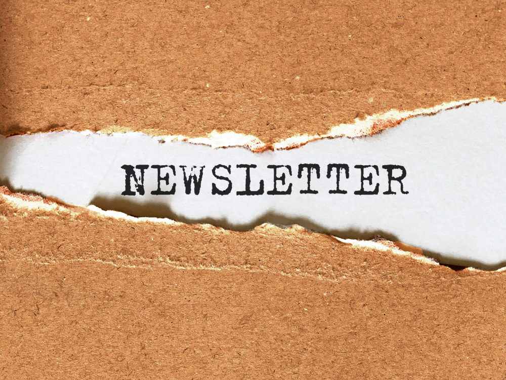 Subscribe for Newsletter